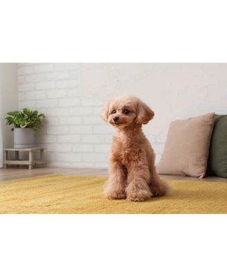 RF-S 18-45mm f/4.5-6.3 IS STM Lens