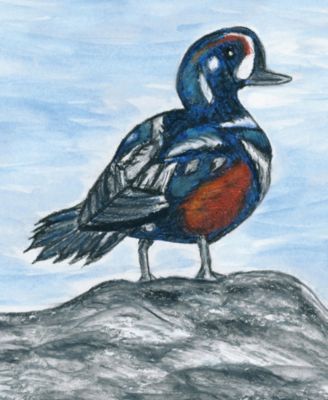 Mixed Media Heavyweight Art Paper, Pack of 2