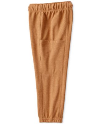 Toddler Boys 2-Pc. Dinosaur Hoodie & Pants Set