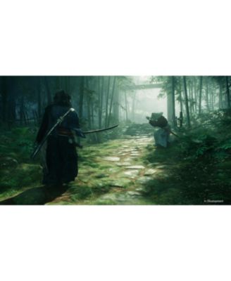 Rise of the Ronin for Playstation 5