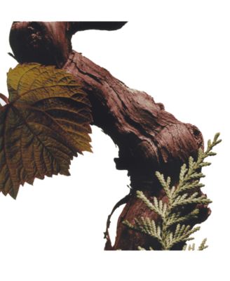 Cypress & Grapevine Body Spray, 3.8 oz.