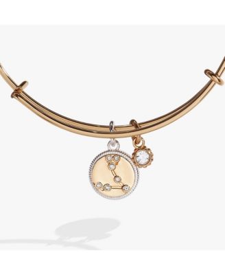 Zodiac Bangle Bracelet Pisces