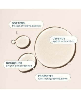 Organic Castor Oil - 16 oz