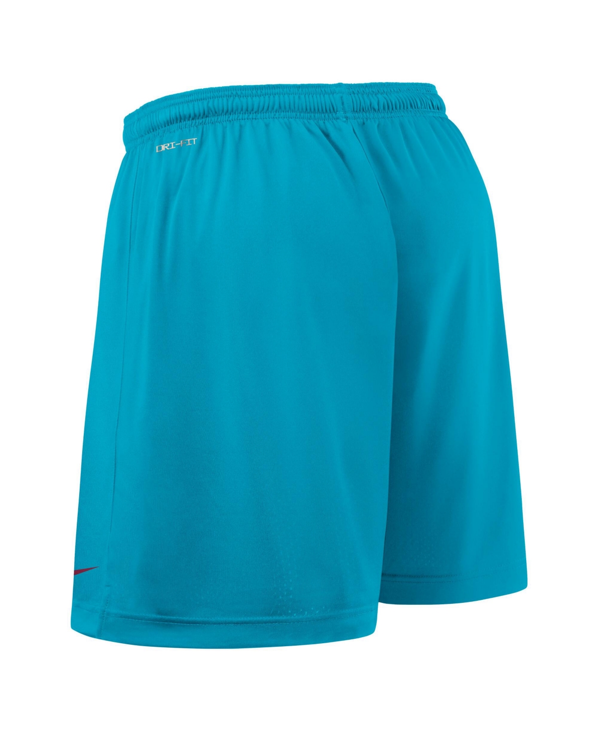 Nike Garnet/turquoise Florida State Seminoles 2025 Sideline Reversible Performance Shorts In Multi