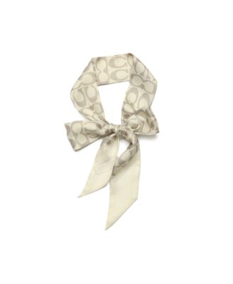 Textured Signature Print Silk Skinny Scarf
