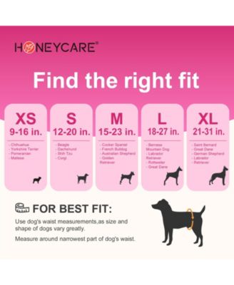 All-Absorb Disposable Female Dog Diapers, Super Absorbent, Breathable, Wetness Indicator, Small, 12-20 inches, 80ct