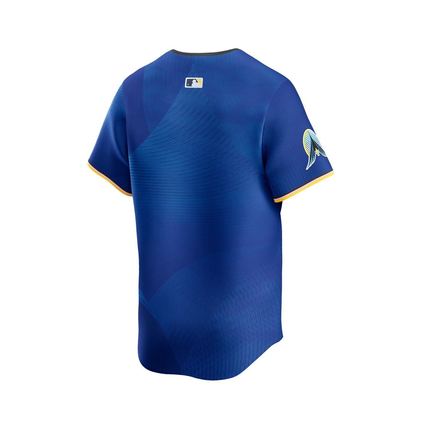 Мужской топ Nike Royal Minnesota Twins City Connect Limited Jersey — фото 3