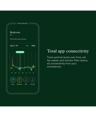 Air Mini + with PECO-HEPA Tri-Power Filter