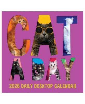2026 Cat A Day Daily Desktop Calendar