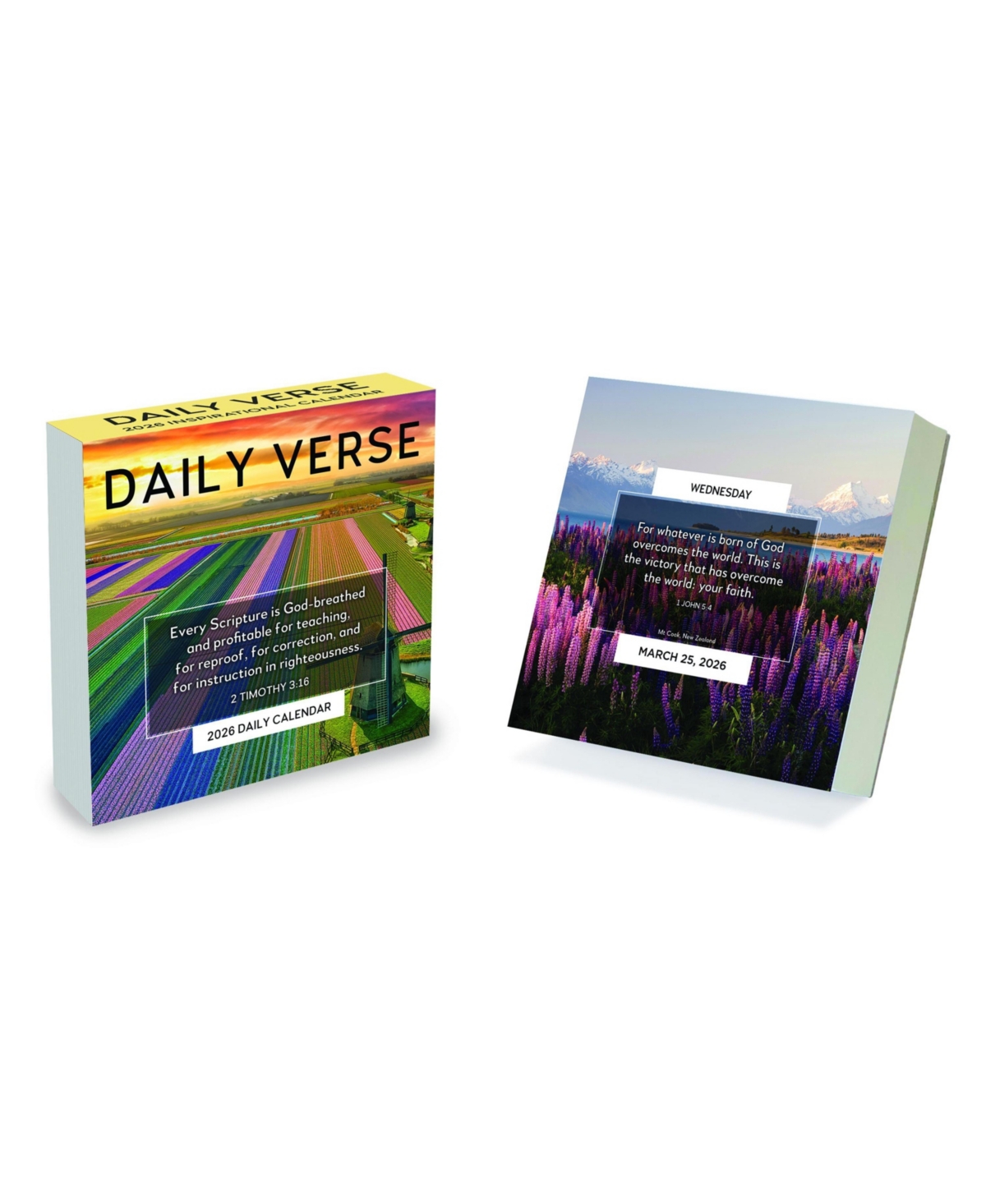 2026 Daily Verse Daily Desktop Calendar - Multicolor