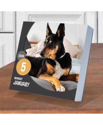 2026 Dog A Day Daily Desktop Calendar