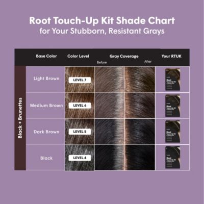Root Touch-Up Kit for Resistant Grays