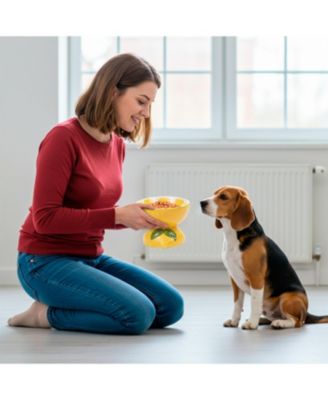 Lemon Shaped Stoneware Elevated Pet Bowl, Raised Ceramic Food & Water Dish for Dogs and Cats