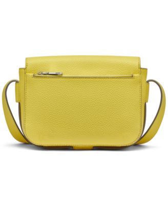 Robin Mini Flap Crossbody Bag