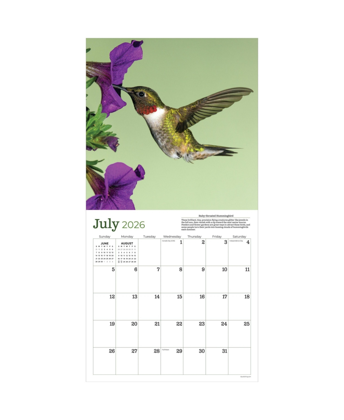 2026 Backyard Birds Wall Calendar - Multicolor