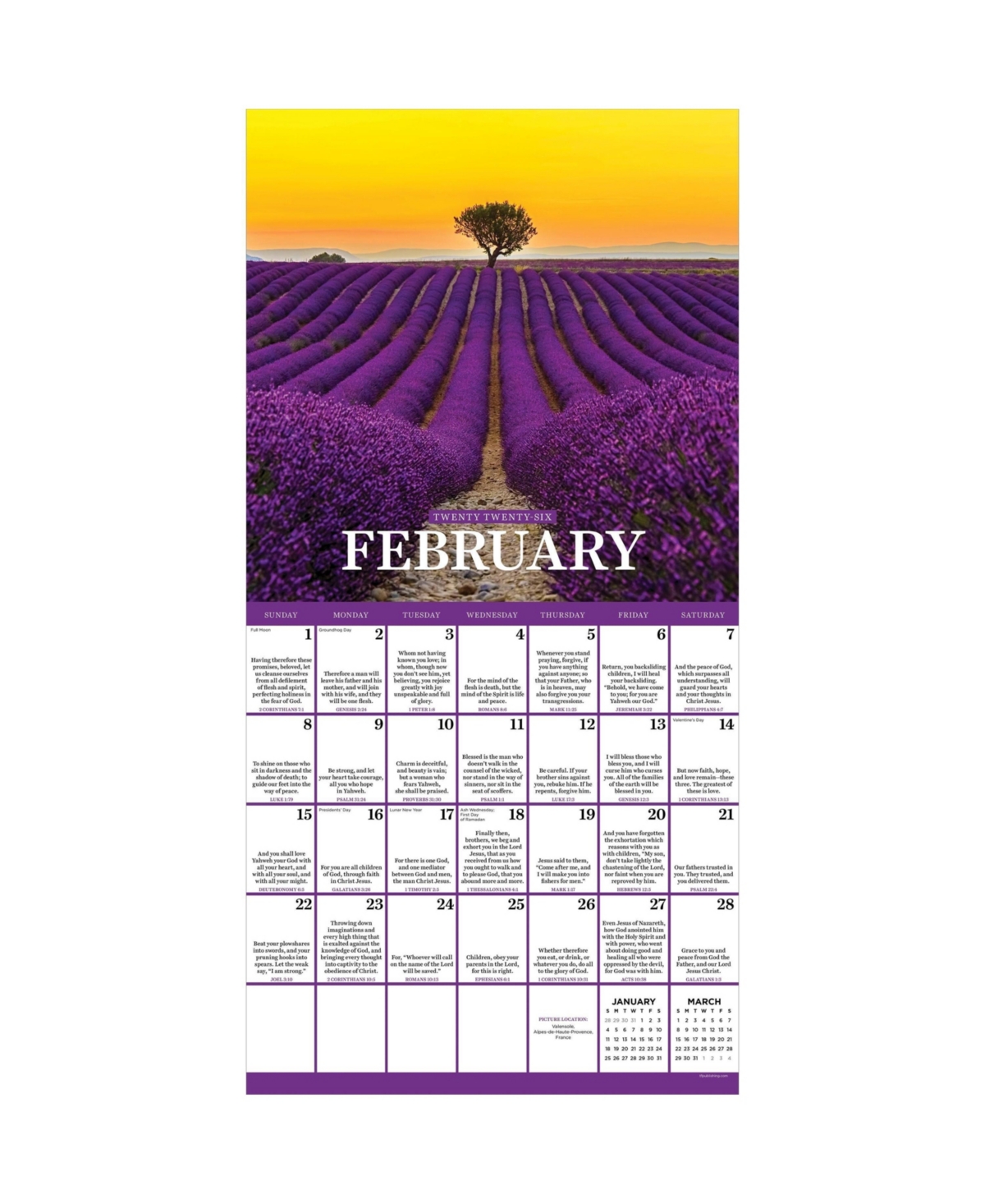 2026 Daily Verse Wall Calendar - Multicolor