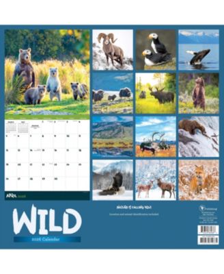 2026 Wild Wall Calendar