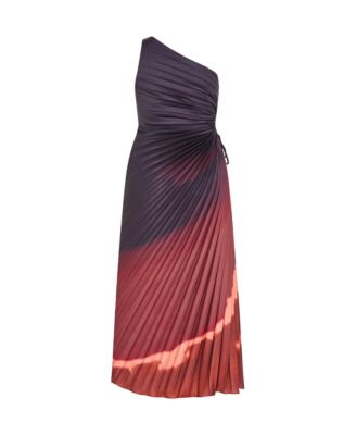 Plus Size Aliza Print Pleat Maxi Dress