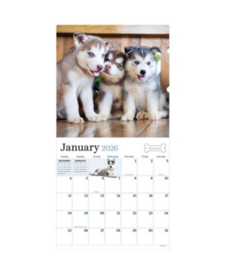 2026 Puppies Wall Calendar
