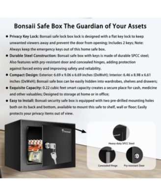 Steel Safe Box with Key Lock, 0.23 Cu Ft Security Lock Box &amp;#x2013; Small Hidden Safe for Cash and Jewelry