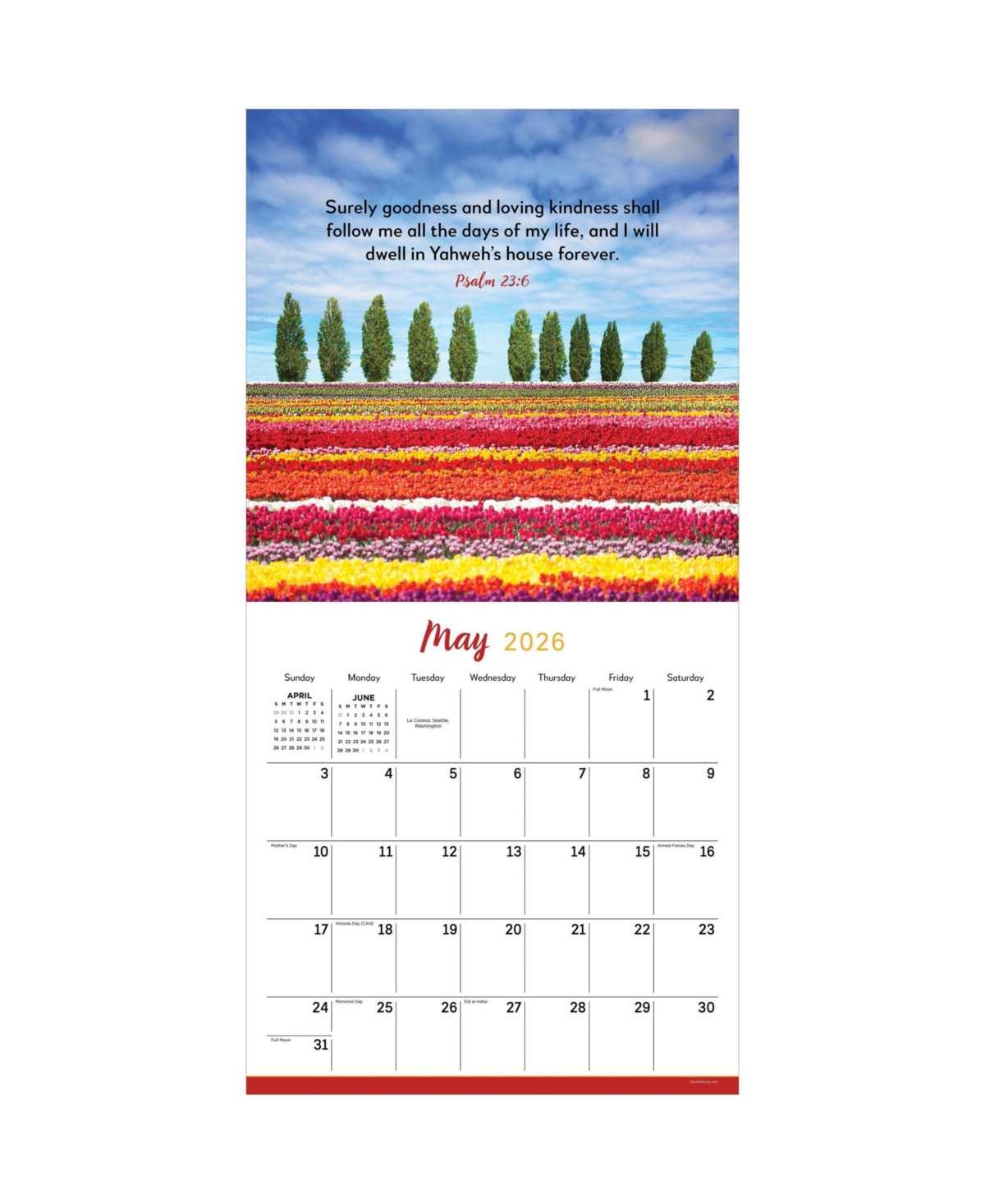 2026 Psalms Wall Calendar - Multicolor