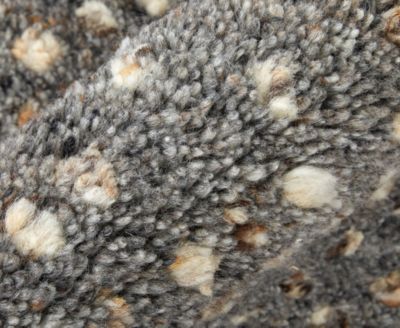 Dering T6042 4'x6' Area Rug