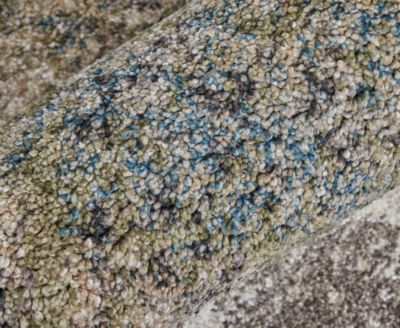 Skyview 39Q9F Rug Collection