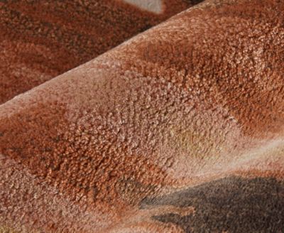 Anya 8883F 8'x10' Area Rug