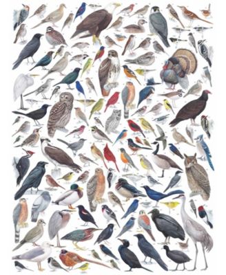 Birds of Eastern/Central North America 1000 Piece Puzzle