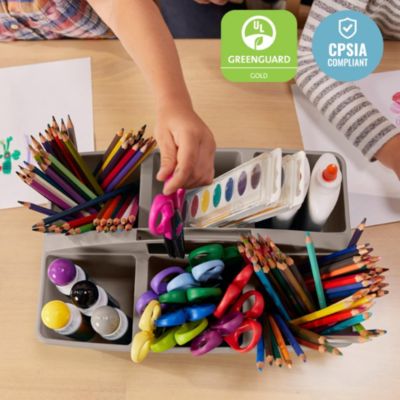 6-Compartment Large Caddy