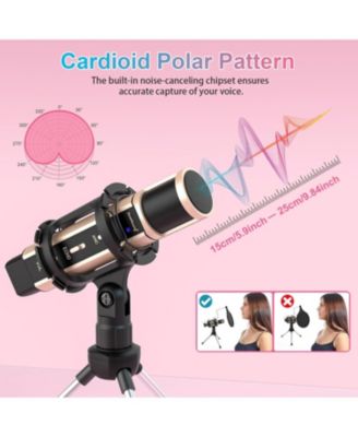 Studio Condenser Microphone with Stand, Built-in Sound Card, Echo Recording for Phone, PC, YouTube, Karaoke, Live Stream (Gold)