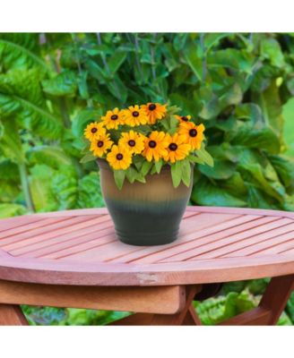 Studio Outdoor/Indoor High-Fired Glazed UV- and Frost-Resistant Ceramic Planters with Drainage Holes