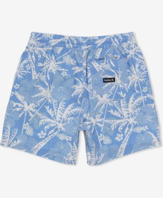 Men's Cannonball Volley Boardshorts