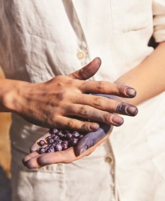 Mirto di Panarea Eau de Toilette Spray, 1 oz.