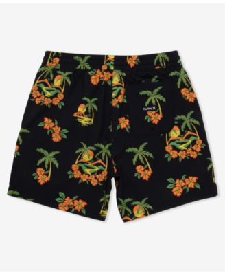 Men's Cannonball Volley 17 Boardshorts