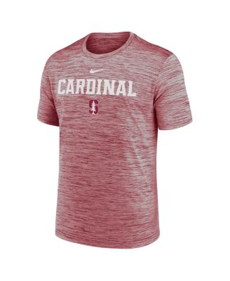 Men's Cardinal Stanford Cardinal 2025 Sideline Velocity Performance T-Shirt