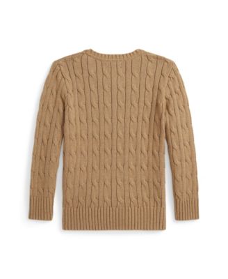 Toddler and Little Boys Cable Knit Cotton Sweater