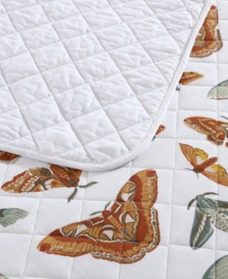 Wilford Butterfly Cotton Reversible 3-Pc. Quilt Set, King
