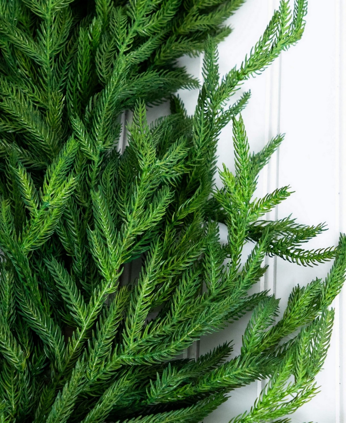 Nearly Natural 8" Artificial Touch Norfolk Island Pine Garland With Natural Look In Green
