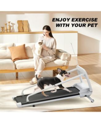 Smart Pet Treadmill Adjustable Speed