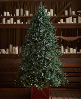 6.5 ft Pre-Lit Colorado Mountain Spruce Tree