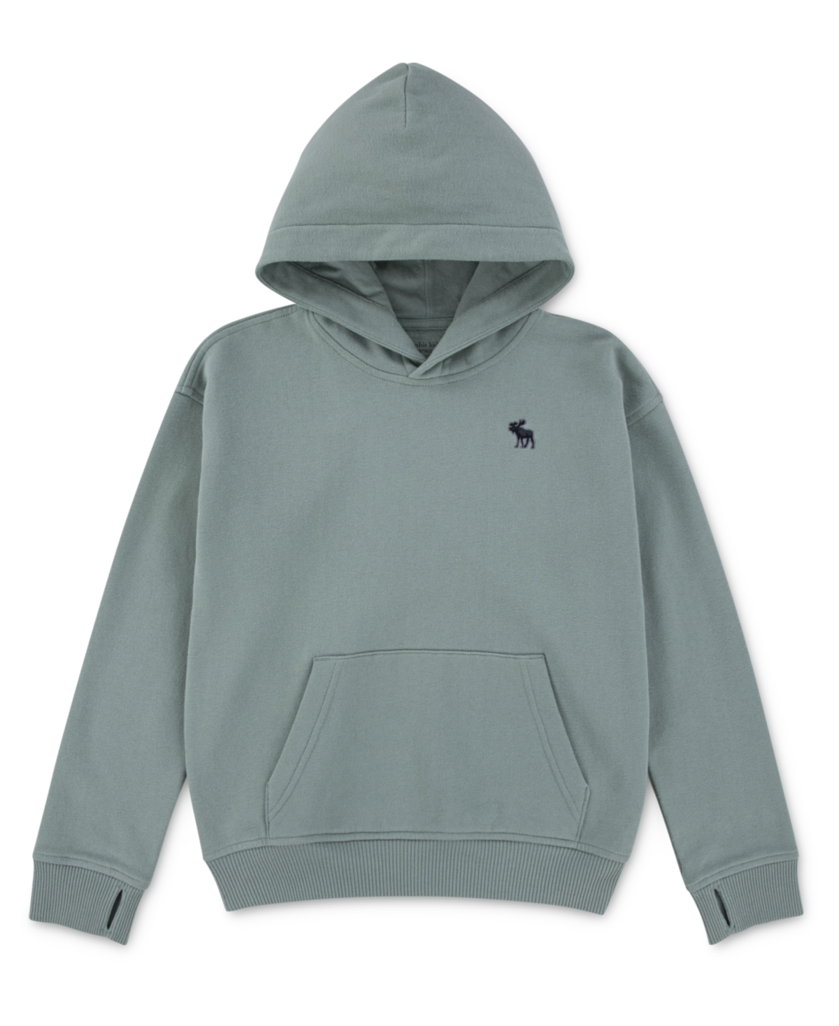 Abercrombie Boys Essential Fleece Pullover Hoodie In Green
