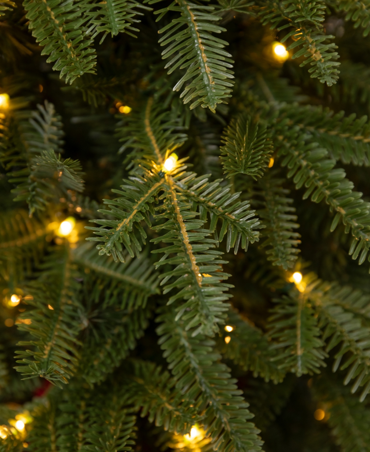 Balsam Hill 3.5 Ft Fraser Fir Pre-lit Tabletop Tree In Green
