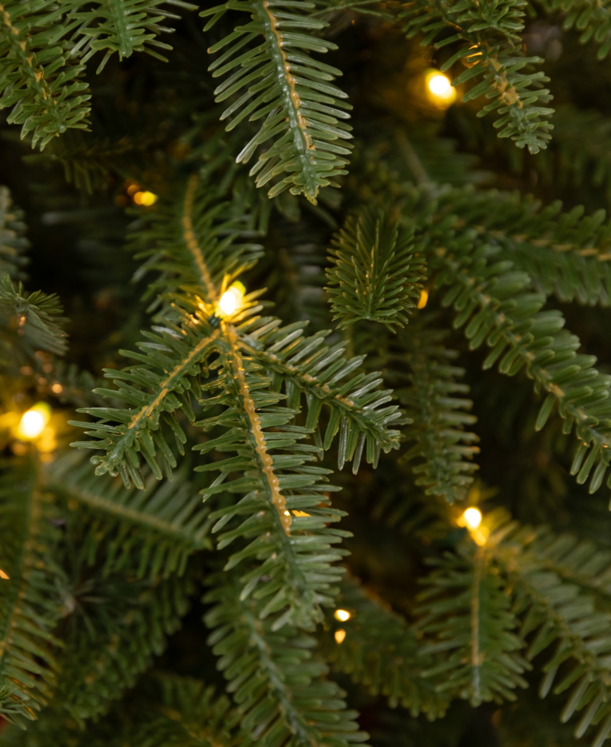 Balsam Hill 2.5 Ft Fraser Fir Pre-lit Tabletop Tree In Green