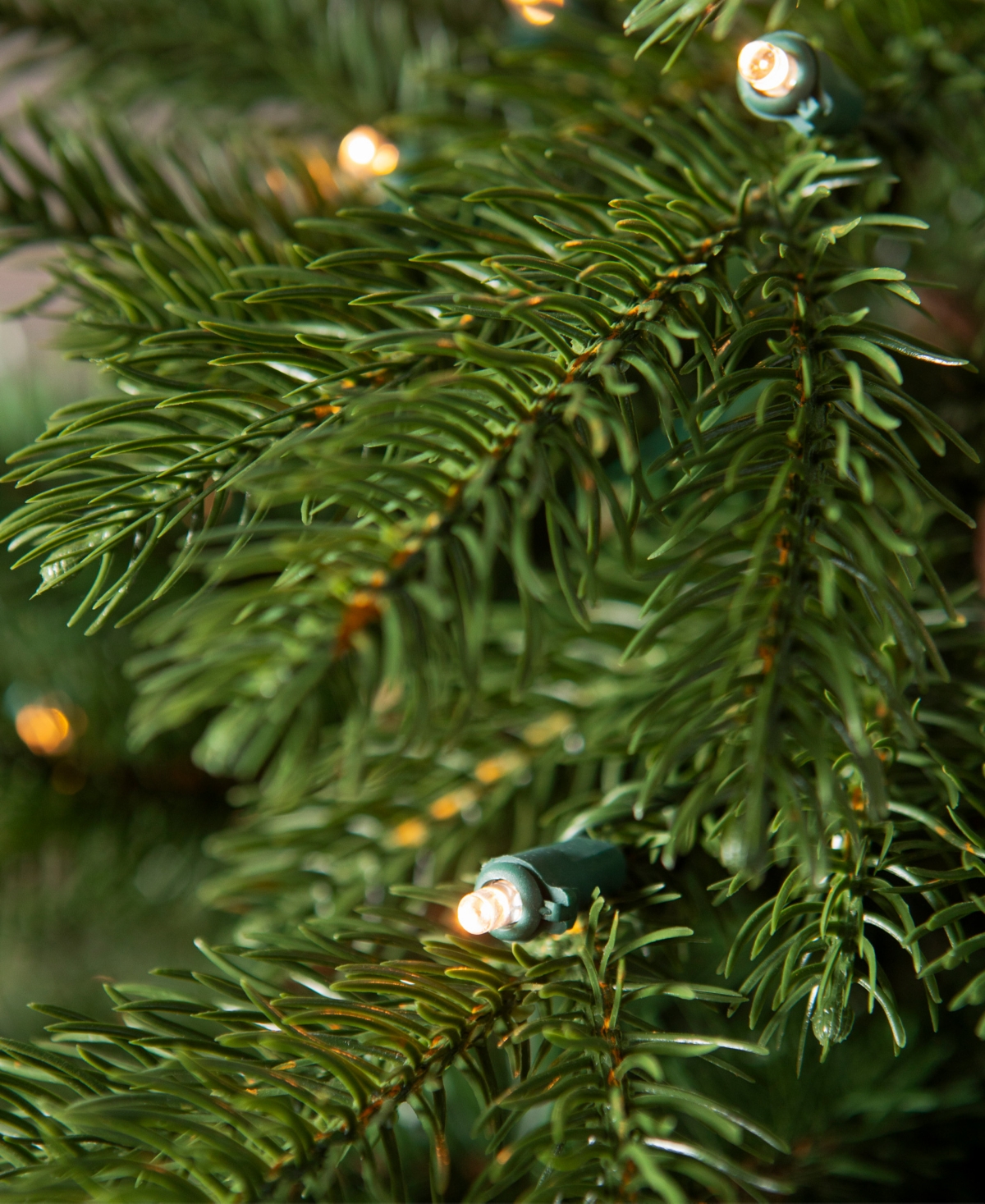 Balsam Hill 3 Ft Country Farm Pre-lit Fir Tree In Green