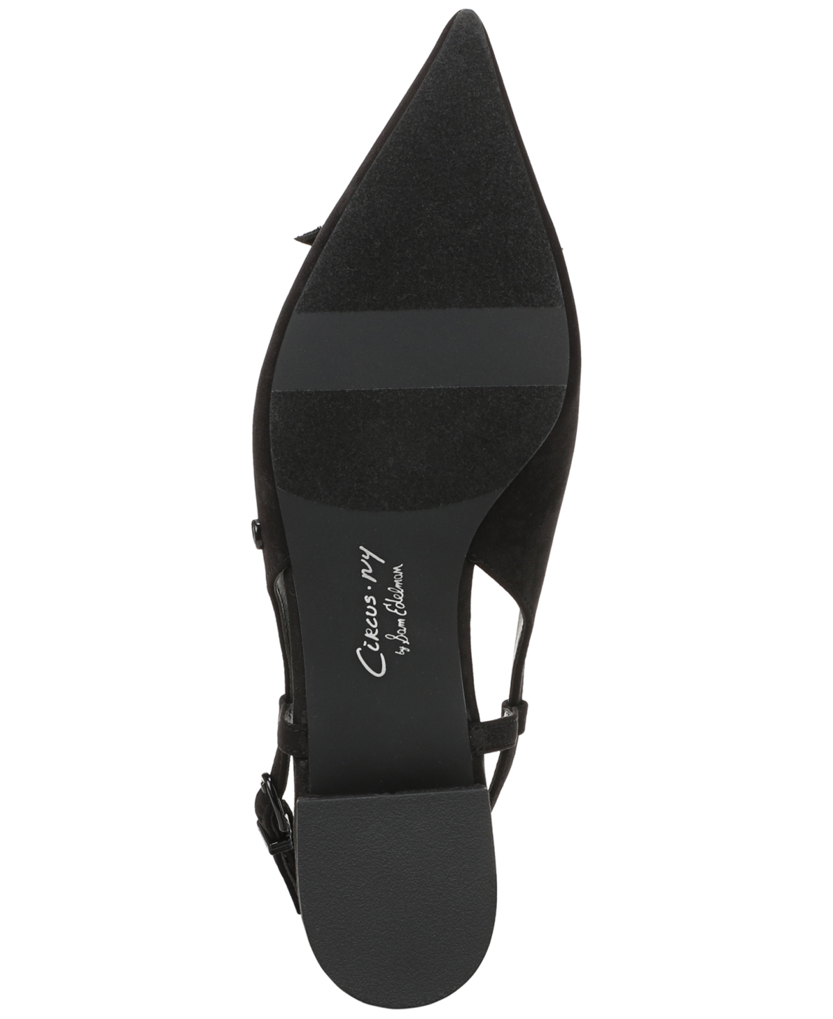 Circus Ny By Sam Edelman Delanie Pointed Toe Slingback Flat In Black