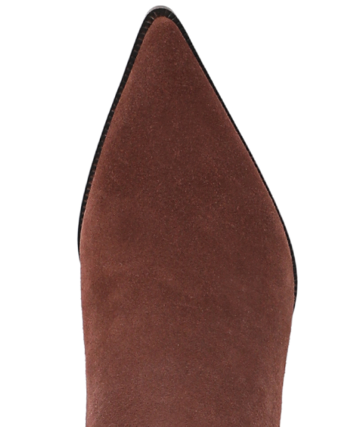 Circus Ny By Sam Edelman Yulia Pointed Toe Knee High Boot In Brown