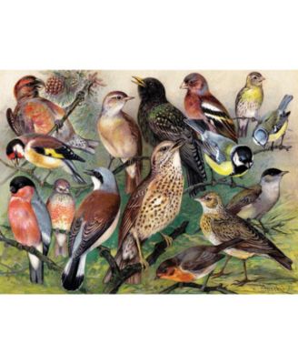Songbirds 1000 Piece Puzzle