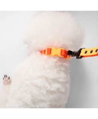 Luna 8FT Adjustable 6-in-1 Waterproof Hands-Free Leash and Collar with LED Flashlight, Bag Dispenser, and Poop Bag Holder