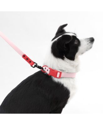 Luna 8FT Adjustable 6-in-1 Waterproof Hands-Free Leash and Collar with LED Flashlight, Bag Dispenser, and Poop Bag Holder